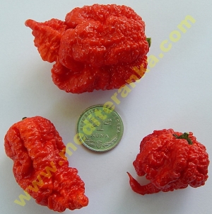 C. reaper